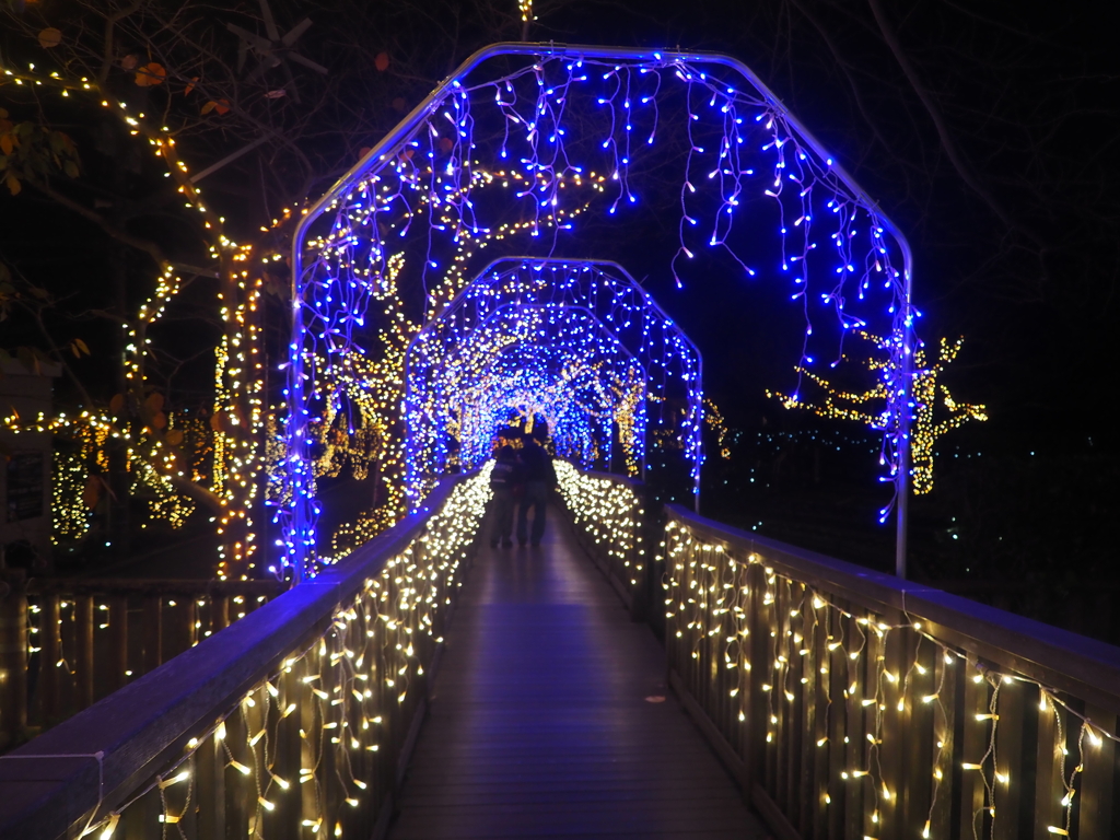 2025 湘南の宝石