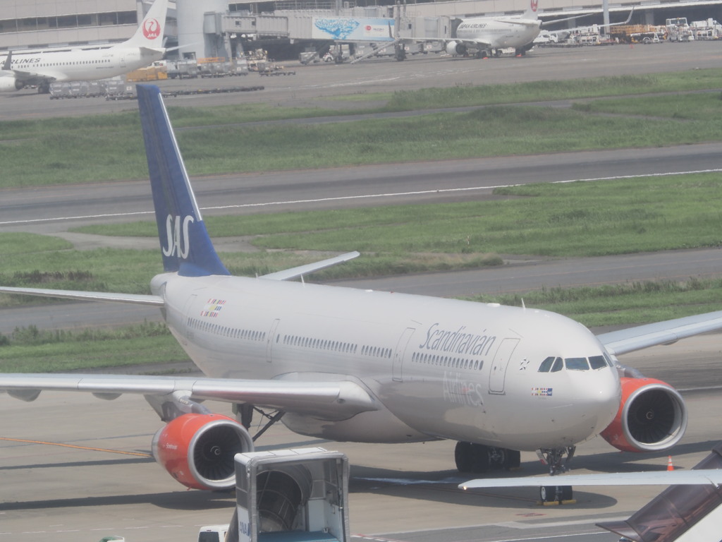 スカンジナビア航空 Airbus A330-300 　羽田空港
