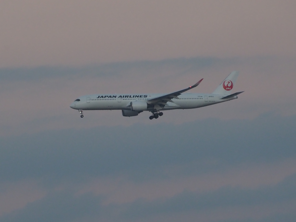 東扇島東公園