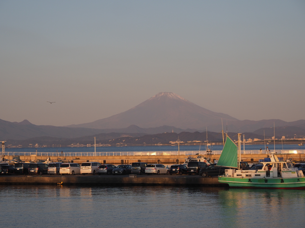 江ノ島からの朝富士