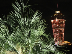 湘南キャンドル2021