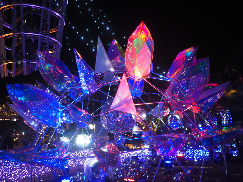 2025 湘南の宝石