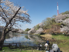 横浜市三ツ池公園