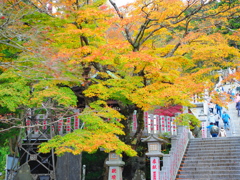大山阿夫利神社の紅葉