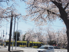 芳賀かしの森公園