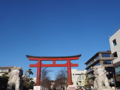 鎌倉鶴ヶ岡八幡宮段葛