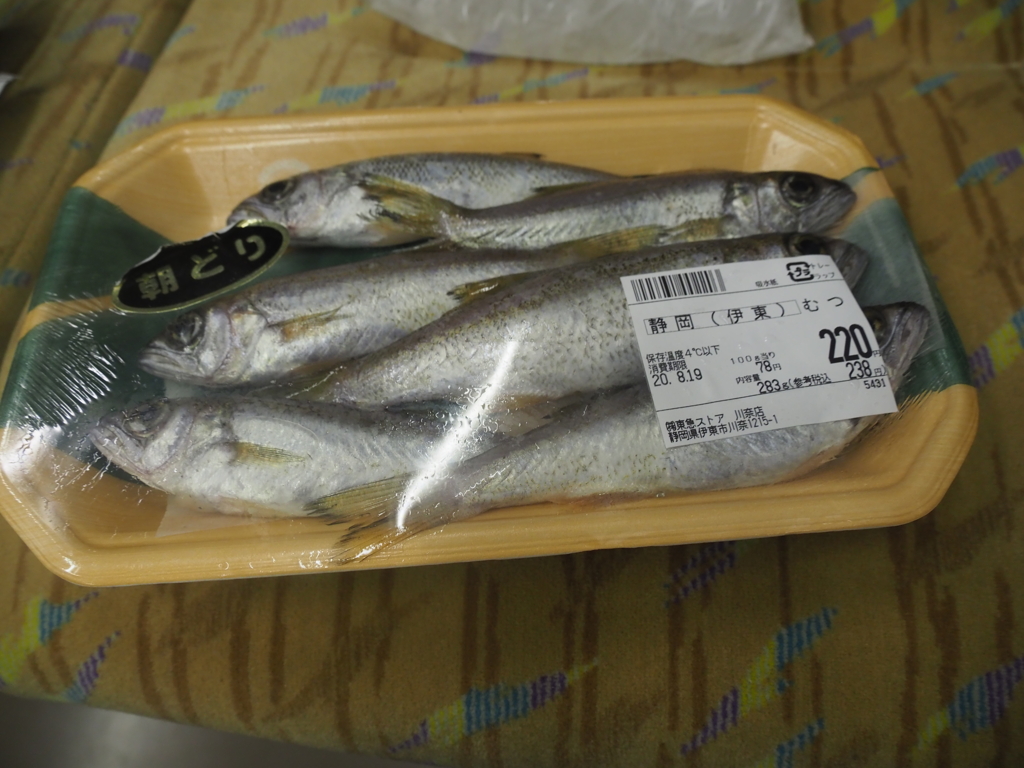 伊東散策