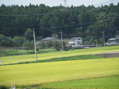 宇都宮LRT・芳賀町内の工事現場