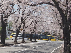 芳賀かしの森公園