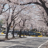 芳賀かしの森公園
