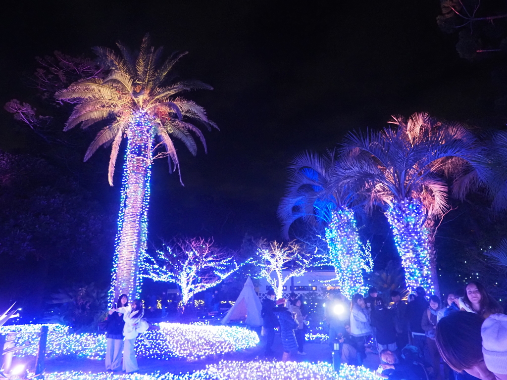 2025 湘南の宝石