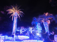 2025 湘南の宝石