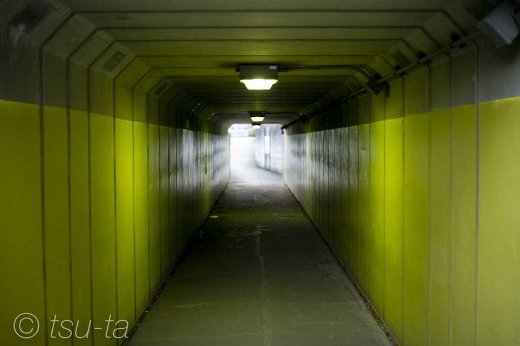 黄色いトンネル