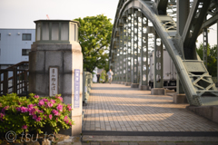 朝の橋