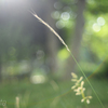 NIKKOR-H･C 5cm f2