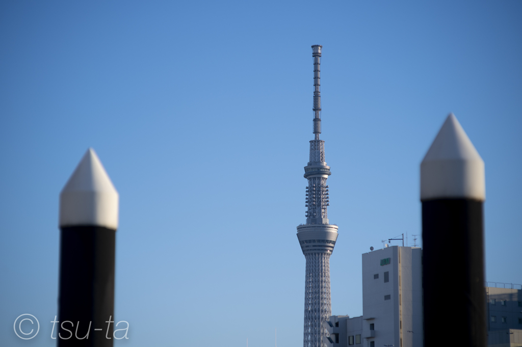 背高比べ