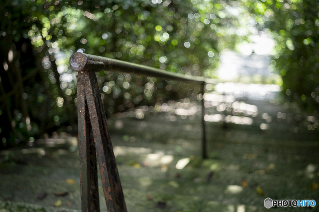 _DSC0332-2