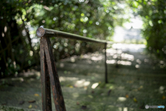 _DSC0332-2