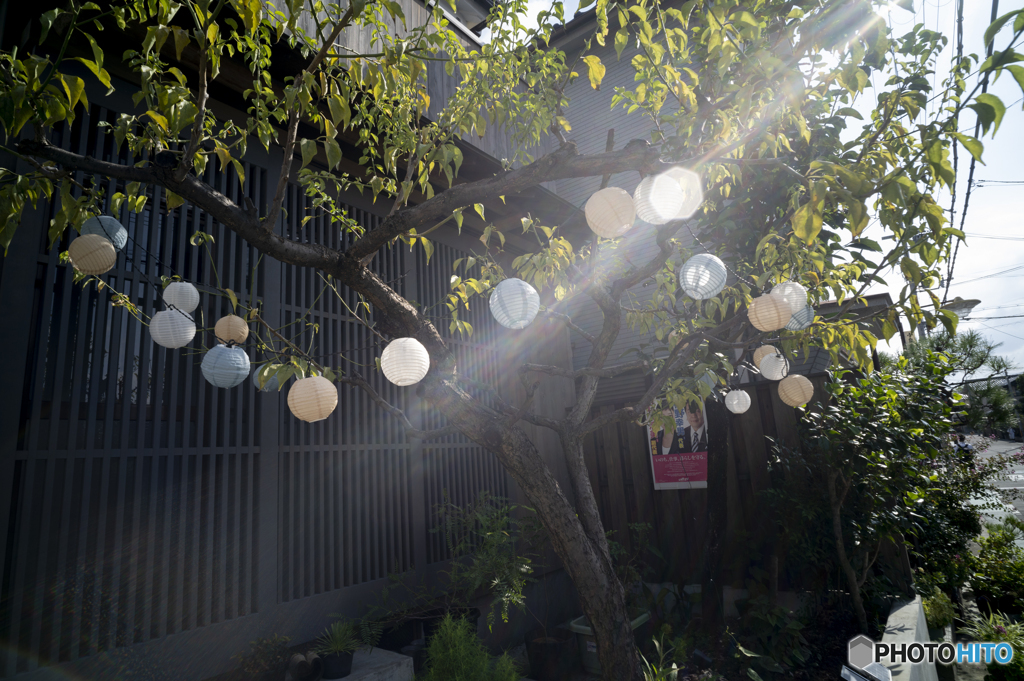 通勤路-7
