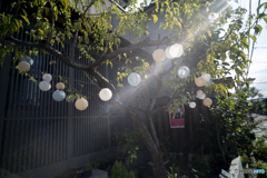 通勤路-7