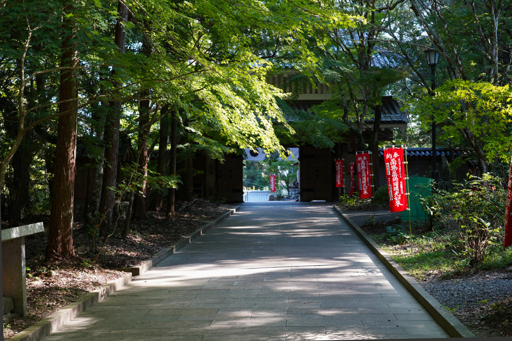夕刻の参道