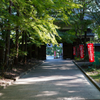 夕刻の参道