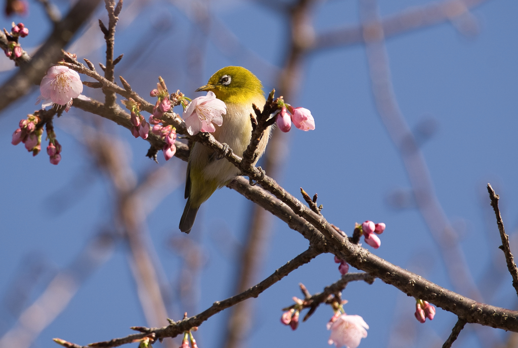 香りに誘われて2