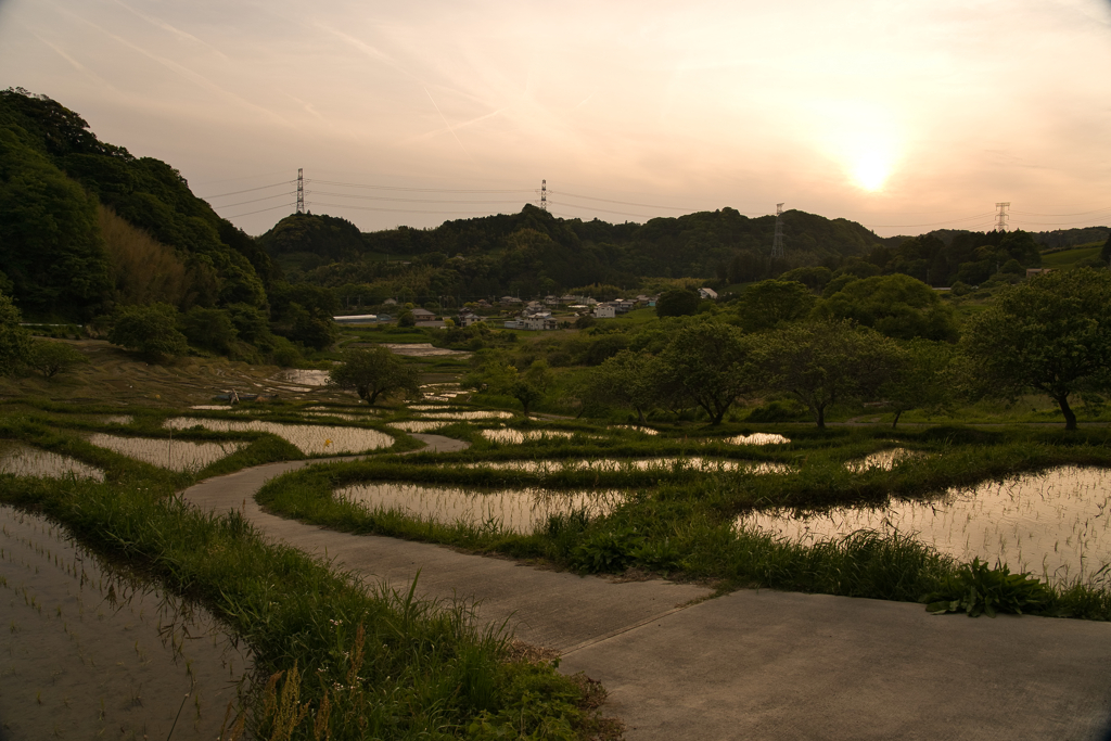 棚田の夕日②