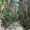 内浦重須見晴台③