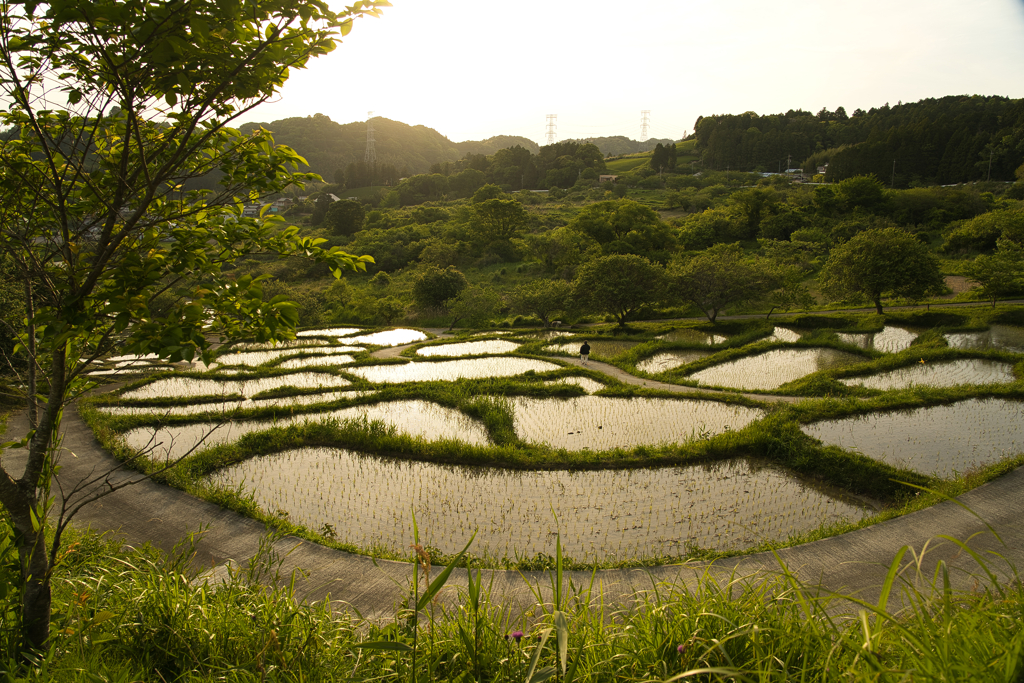 棚田の夕日①