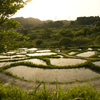 棚田の夕日①