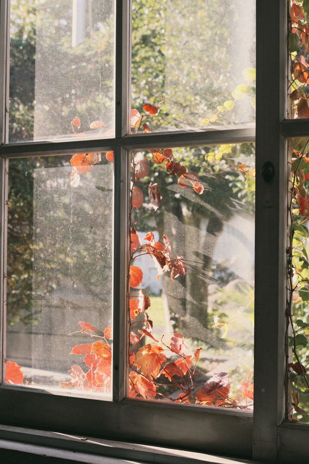 秋の窓