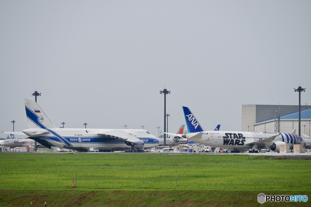 ヴォルガ・ドニエプル航空、ANA STAR WARS機と♪