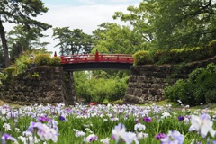 小田原城址公園にて