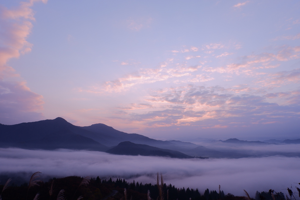 朝景