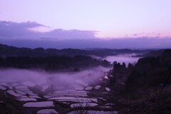 本年も宜しくおねがいいたします