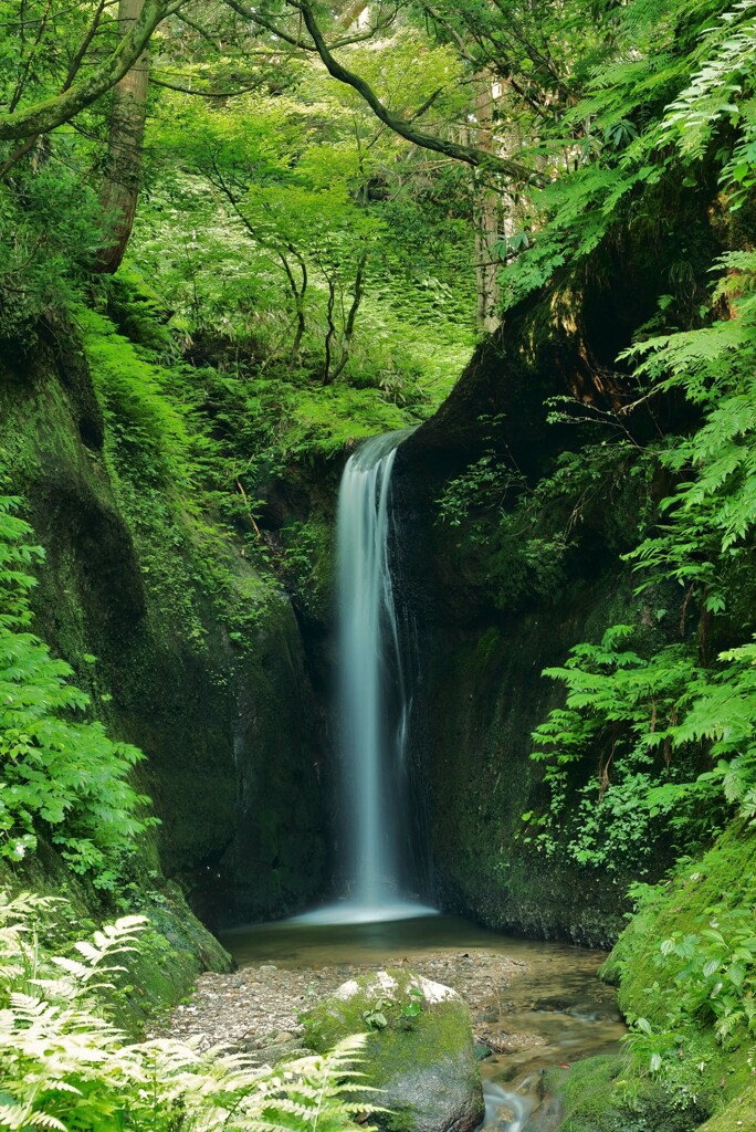 桃川のおたきさま