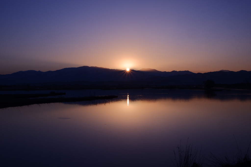 朝景