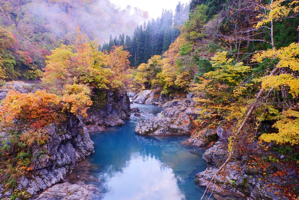 中津川渓谷１(新潟県)