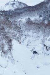 冬景１