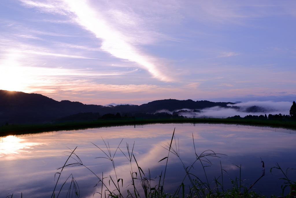 朝景