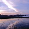 朝景
