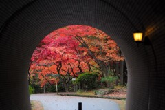 トンネルを抜けると