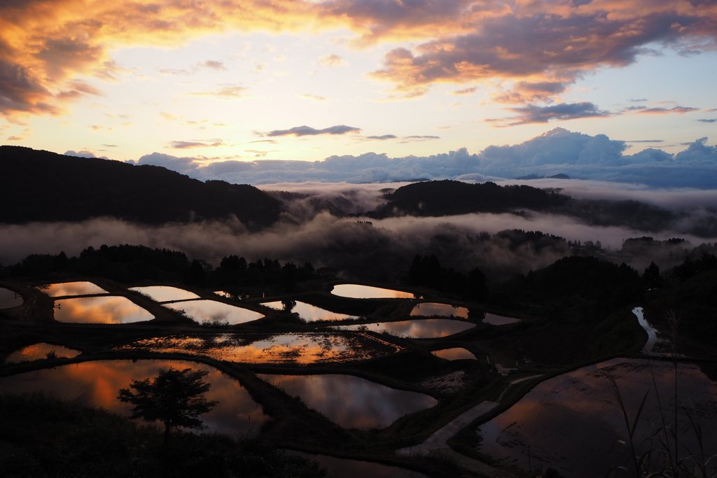 棚池の朝景２