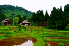 里山