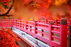 秋の景２