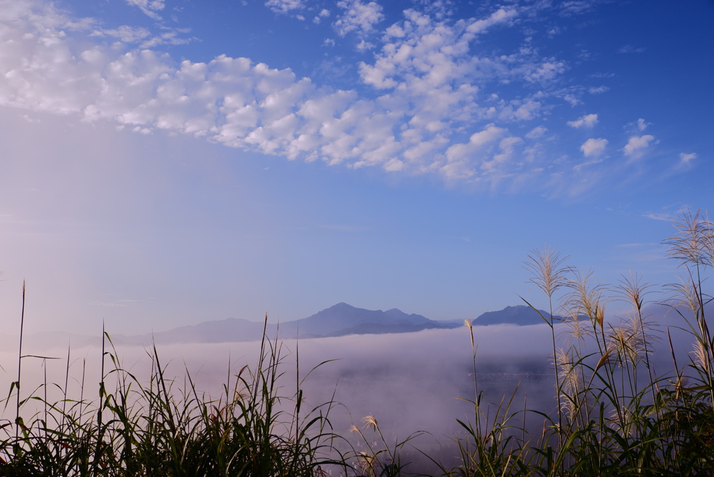 朝景