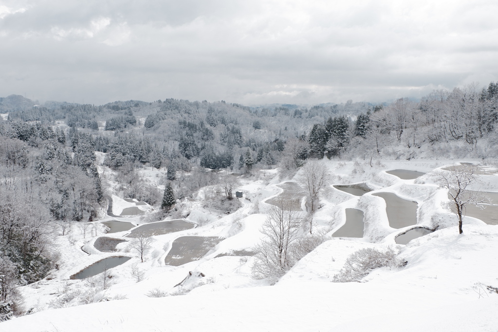 冬の景３