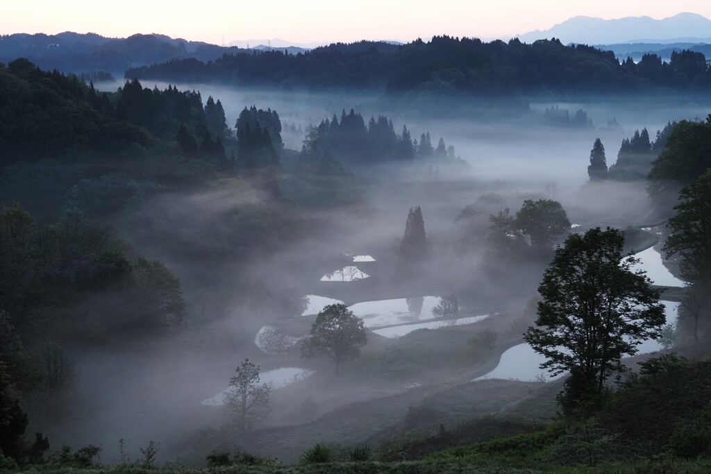 朝景