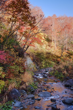 秋景・